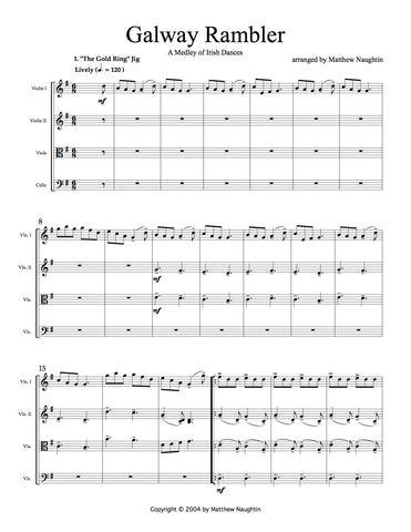 Galway Rambler Medley (Eight Traditional Irish Dance Tunes)