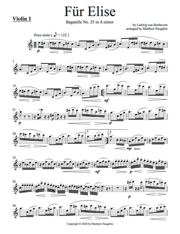 Für Elise (L. v. Beethoven)