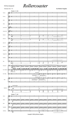 "Rollercoaster" (Matthew Naughtin)