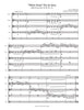 White Swan Pas de deux (Tchaikovsky) (string orchestra)